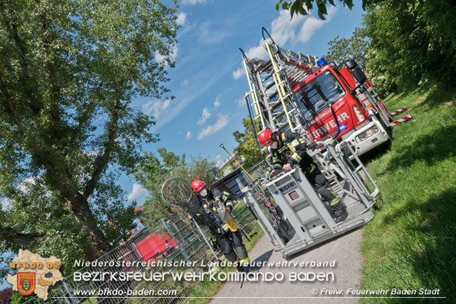 20210604 Feuerwehreinsatz nach Schlangenbiss in einem Badener Kindergarten  Foto: © Freiwillige Feuerwehr Baden-Stadt
