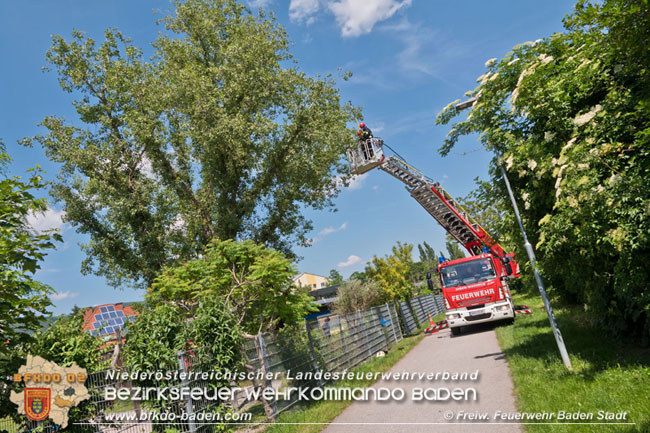 20210604 Feuerwehreinsatz nach Schlangenbiss in einem Badener Kindergarten  Foto: © Freiwillige Feuerwehr Baden-Stadt