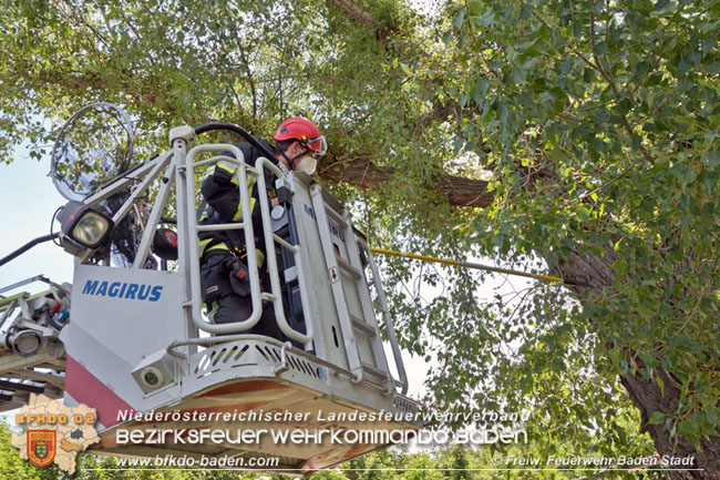 20210604 Feuerwehreinsatz nach Schlangenbiss in einem Badener Kindergarten  Foto: © Freiwillige Feuerwehr Baden-Stadt