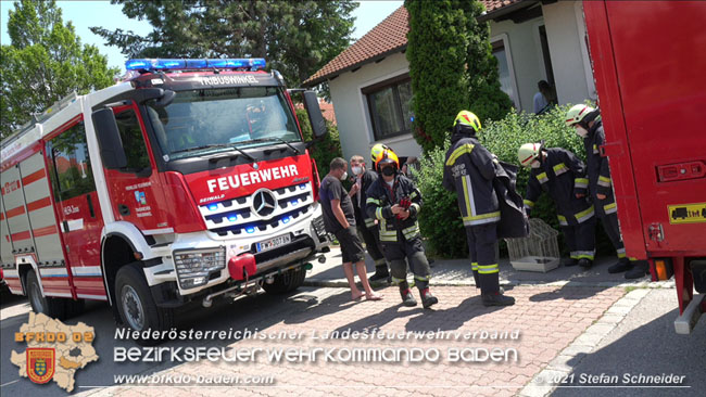 20210605 Junge Krähe in Not Foto: © Stefan Schneider BFK BADEN 20210605 Junge Krähe in Not Foto: © Stefan Schneider BFK BADEN