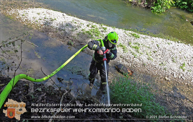 20210605 Flurbrand im Traiskirchner Augebiet Foto: Stefan Schneider 20210605 Flurbrand im Traiskirchner Augebiet Foto: Stefan Schneider