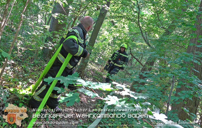 20210605 Flurbrand im Traiskirchner Augebiet Foto: Stefan Schneider 20210605 Flurbrand im Traiskirchner Augebiet Foto: Stefan Schneider