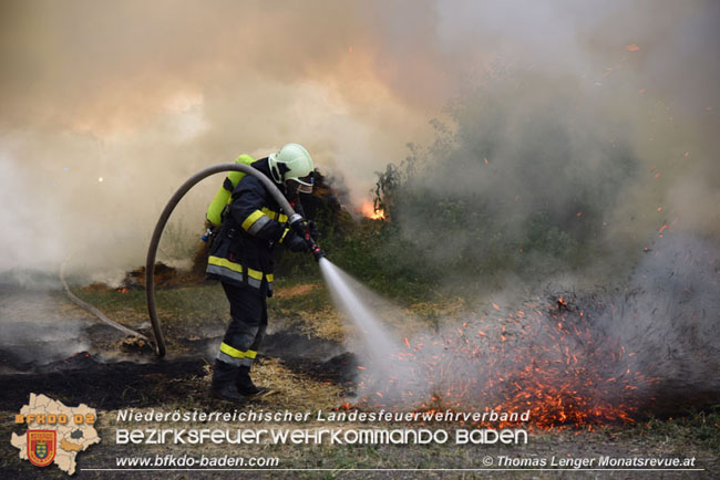 20210630 Brand von Rundstrohballen in Weigelsdorf  Foto: © Thomas Lenger