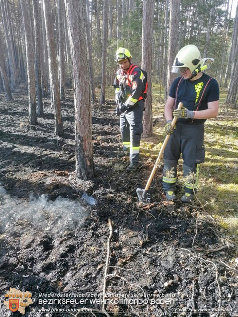 20210704 1. Einsatz des Sonderdienstes Wald- und Flurbrandbekaempfung Einheit Baden ZUG-SueD bei  Brand im Foehrenwald Bezirk Neunkirchen  Foto: © Freiwillige Feuerwehr Enzesfeld