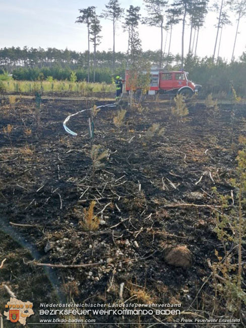 20210704 1. Einsatz des Sonderdienstes Wald- und Flurbrandbekaempfung Einheit Baden ZUG-SueD bei  Brand im Foehrenwald Bezirk Neunkirchen  Foto: © Freiwillige Feuerwehr Enzesfeld