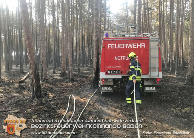 20210704 1. Einsatz des Sonderdienstes Wald- und Flurbrandbekaempfung Einheit Baden ZUG-SueD bei  Brand im Foehrenwald Bezirk Neunkirchen  Foto: © Freiwillige Feuerwehr Enzesfeld