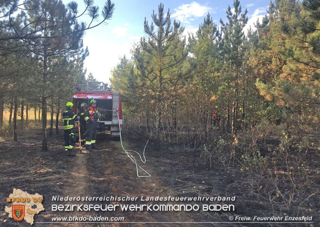 20210704 1. Einsatz des Sonderdienstes Wald- und Flurbrandbekaempfung Einheit Baden ZUG-SueD bei  Brand im Foehrenwald Bezirk Neunkirchen  Foto: © Freiwillige Feuerwehr Enzesfeld
