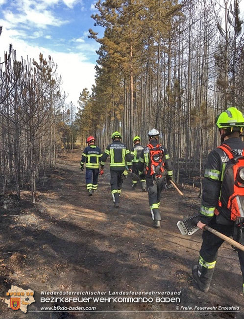 20210704 1. Einsatz des Sonderdienstes Wald- und Flurbrandbekaempfung Einheit Baden ZUG-SueD bei  Brand im Foehrenwald Bezirk Neunkirchen  Foto: © Freiwillige Feuerwehr Enzesfeld