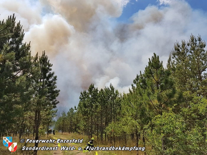 20210704 1. Einsatz des Sonderdienstes Wald- und Flurbrandbekaempfung Einheit Baden ZUG-SueD bei  Brand im Foehrenwald Bezirk Neunkirchen  Foto: © Freiwillige Feuerwehr Enzesfeld