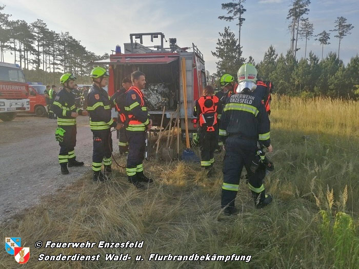 20210704 1. Einsatz des Sonderdienstes Wald- und Flurbrandbekaempfung Einheit Baden ZUG-SueD bei  Brand im Foehrenwald Bezirk Neunkirchen  Foto: © Freiwillige Feuerwehr Enzesfeld