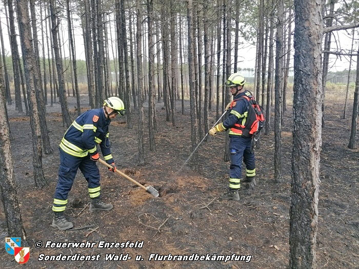 20210704 1. Einsatz des Sonderdienstes Wald- und Flurbrandbekaempfung Einheit Baden ZUG-SueD bei  Brand im Foehrenwald Bezirk Neunkirchen  Foto: © Freiwillige Feuerwehr Enzesfeld