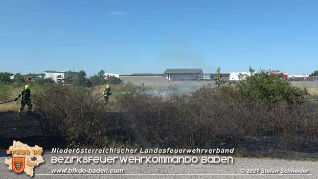 20210710 Flurbrand im IZ Traiskirchen-Tribuswinkel Foto: © Stefan Schneider BFK Baden 20210710 Flurbrand im IZ Traiskirchen-Tribuswinkel Foto: © Stefan Schneider BFK Baden