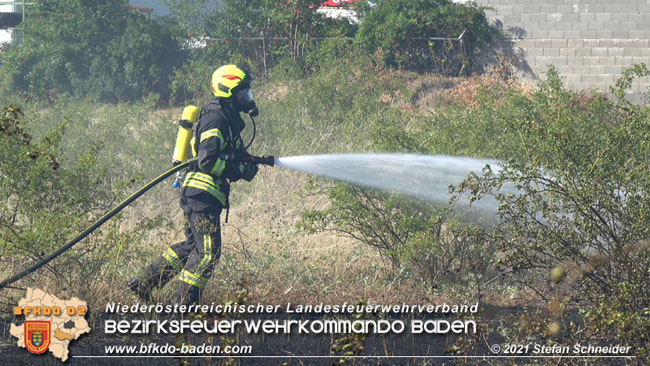 20210710 Flurbrand im IZ Traiskirchen-Tribuswinkel Foto: © Stefan Schneider BFK Baden 20210710 Flurbrand im IZ Traiskirchen-Tribuswinkel Foto: © Stefan Schneider BFK Baden