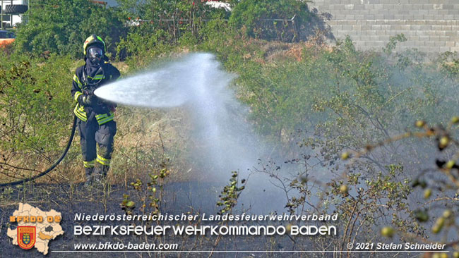 20210710 Flurbrand im IZ Traiskirchen-Tribuswinkel Foto: © Stefan Schneider BFK Baden 20210710 Flurbrand im IZ Traiskirchen-Tribuswinkel Foto: © Stefan Schneider BFK Baden