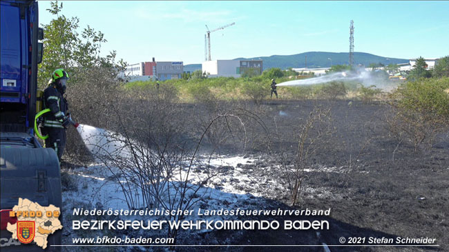 20210710 Flurbrand im IZ Traiskirchen-Tribuswinkel Foto: © Stefan Schneider BFK Baden 20210710 Flurbrand im IZ Traiskirchen-Tribuswinkel Foto: © Stefan Schneider BFK Baden