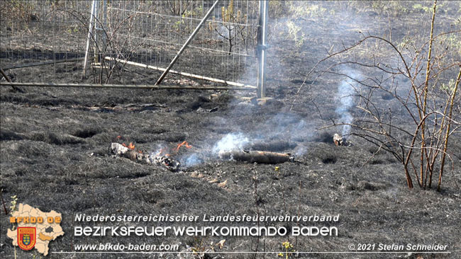 20210710 Flurbrand im IZ Traiskirchen-Tribuswinkel Foto: © Stefan Schneider BFK Baden 20210710 Flurbrand im IZ Traiskirchen-Tribuswinkel Foto: © Stefan Schneider BFK Baden