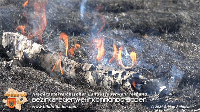 20210710 Flurbrand im IZ Traiskirchen-Tribuswinkel Foto: © Stefan Schneider BFK Baden 20210710 Flurbrand im IZ Traiskirchen-Tribuswinkel Foto: © Stefan Schneider BFK Baden