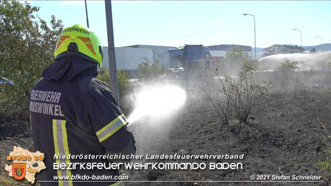 20210710 Flurbrand im IZ Traiskirchen-Tribuswinkel Foto: © Stefan Schneider BFK Baden 20210710 Flurbrand im IZ Traiskirchen-Tribuswinkel Foto: © Stefan Schneider BFK Baden