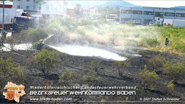 20210710 Flurbrand im IZ Traiskirchen-Tribuswinkel Foto: © Stefan Schneider BFK Baden 20210710 Flurbrand im IZ Traiskirchen-Tribuswinkel Foto: © Stefan Schneider BFK Baden