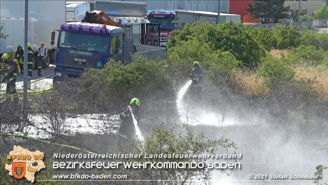 20210710 Flurbrand im IZ Traiskirchen-Tribuswinkel Foto: © Stefan Schneider BFK Baden 20210710 Flurbrand im IZ Traiskirchen-Tribuswinkel Foto: © Stefan Schneider BFK Baden