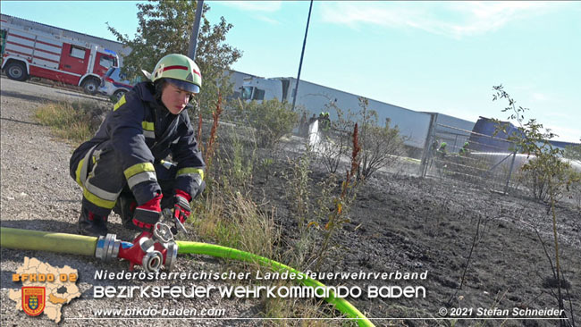 20210710 Flurbrand im IZ Traiskirchen-Tribuswinkel Foto: © Stefan Schneider BFK Baden 20210710 Flurbrand im IZ Traiskirchen-Tribuswinkel Foto: © Stefan Schneider BFK Baden
