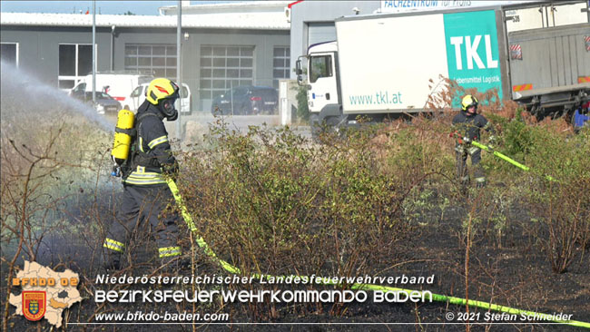 20210710 Flurbrand im IZ Traiskirchen-Tribuswinkel Foto: © Stefan Schneider BFK Baden 20210710 Flurbrand im IZ Traiskirchen-Tribuswinkel Foto: © Stefan Schneider BFK Baden