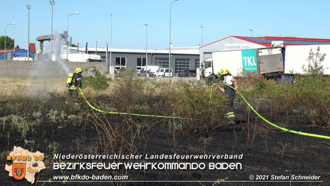 20210710 Flurbrand im IZ Traiskirchen-Tribuswinkel Foto: © Stefan Schneider BFK Baden 20210710 Flurbrand im IZ Traiskirchen-Tribuswinkel Foto: © Stefan Schneider BFK Baden
