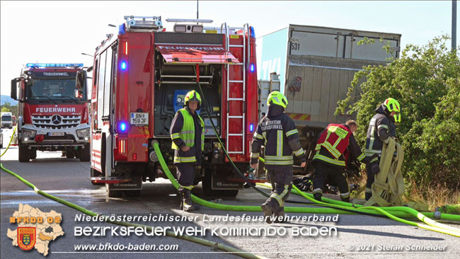 20210710 Flurbrand im IZ Traiskirchen-Tribuswinkel Foto: © Stefan Schneider BFK Baden 20210710 Flurbrand im IZ Traiskirchen-Tribuswinkel Foto: © Stefan Schneider BFK Baden