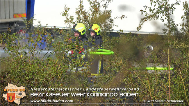 20210710 Flurbrand im IZ Traiskirchen-Tribuswinkel Foto: © Stefan Schneider BFK Baden 20210710 Flurbrand im IZ Traiskirchen-Tribuswinkel Foto: © Stefan Schneider BFK Baden