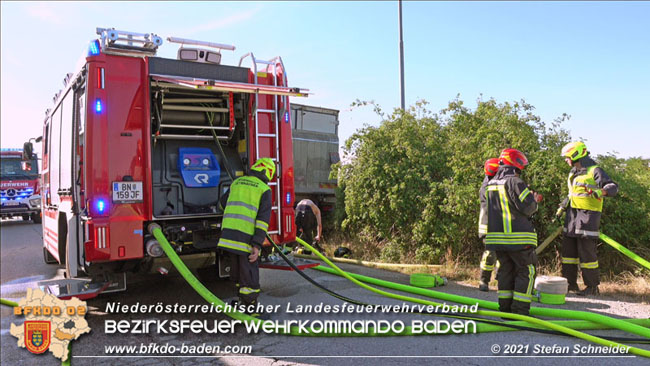 20210710 Flurbrand im IZ Traiskirchen-Tribuswinkel Foto: © Stefan Schneider BFK Baden 20210710 Flurbrand im IZ Traiskirchen-Tribuswinkel Foto: © Stefan Schneider BFK Baden