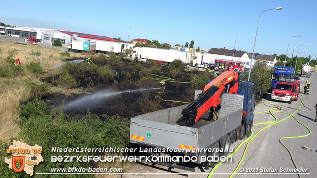 20210710 Flurbrand im IZ Traiskirchen-Tribuswinkel Foto: © Stefan Schneider BFK Baden 20210710 Flurbrand im IZ Traiskirchen-Tribuswinkel Foto: © Stefan Schneider BFK Baden