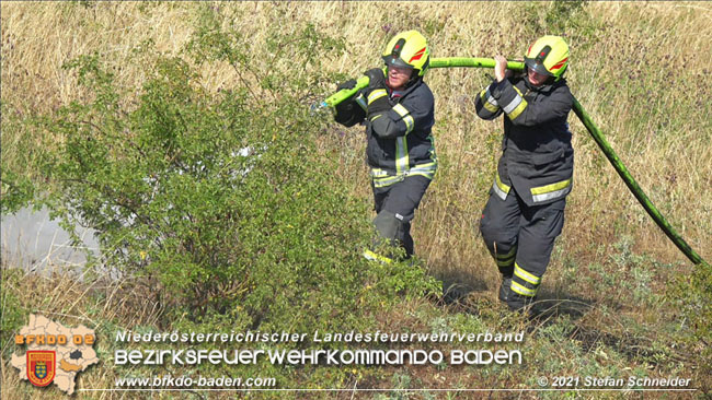 20210710 Flurbrand im IZ Traiskirchen-Tribuswinkel Foto: © Stefan Schneider BFK Baden 20210710 Flurbrand im IZ Traiskirchen-Tribuswinkel Foto: © Stefan Schneider BFK Baden