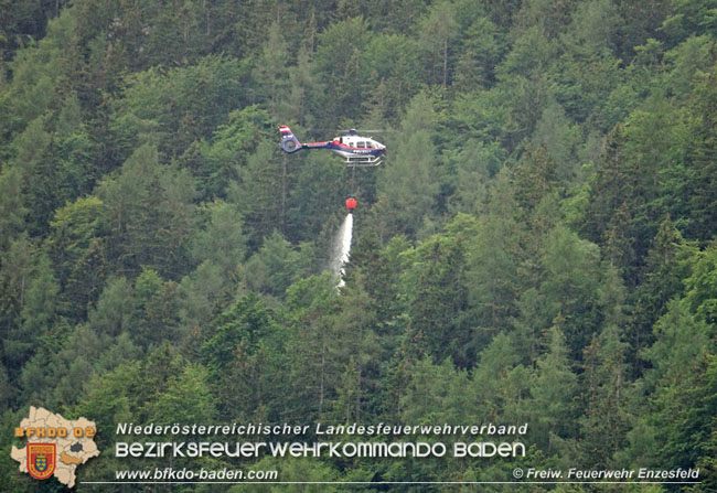 20210710 Unterstuetzung bei Waldbrand in Gutenstein im Bezirk Wr.Neustadt   Foto: © Freiwillige Feuerwehr Enzesfeld