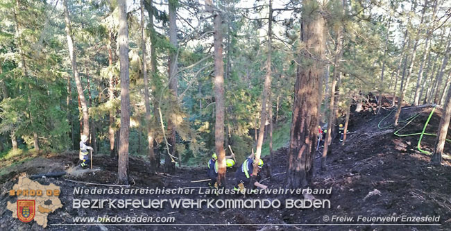 20210710 Unterstützung bei Waldbrand in Gutenstein im Bezirk Wr.Neustadt   Foto: © Freiwillige Feuerwehr Enzesfeld