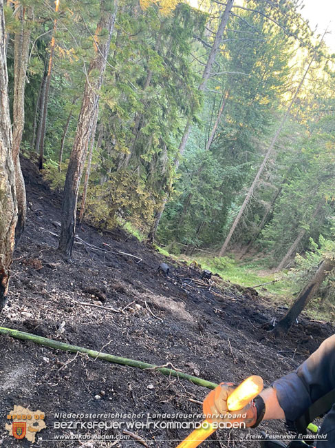 20210710 Unterstuetzung bei Waldbrand in Gutenstein im Bezirk Wr.Neustadt   Foto: © Freiwillige Feuerwehr Enzesfeld