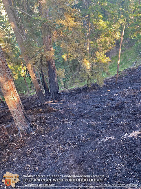 20210710 Unterstuetzung bei Waldbrand in Gutenstein im Bezirk Wr.Neustadt   Foto: © Freiwillige Feuerwehr Enzesfeld