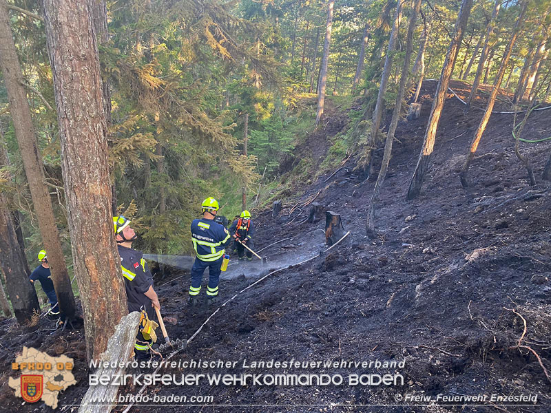 20210710 Unterstuetzung bei Waldbrand in Gutenstein im Bezirk Wr.Neustadt   Foto: © Freiwillige Feuerwehr Enzesfeld