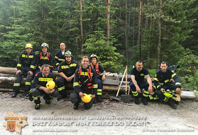20210710 Unterstuetzung bei Waldbrand in Gutenstein im Bezirk Wr.Neustadt   Foto: © Freiwillige Feuerwehr Enzesfeld