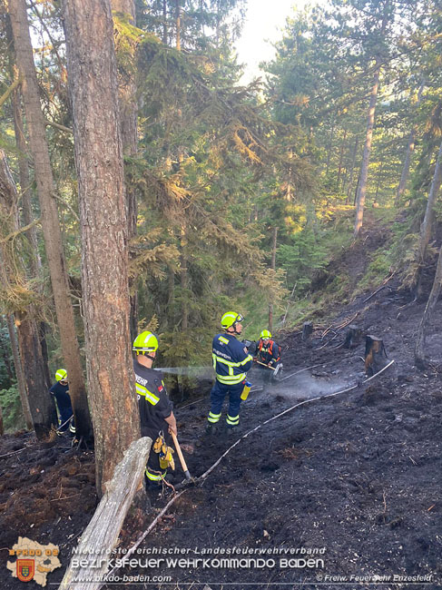 20210710 Unterstuetzung bei Waldbrand in Gutenstein im Bezirk Wr.Neustadt   Foto: © Freiwillige Feuerwehr Enzesfeld