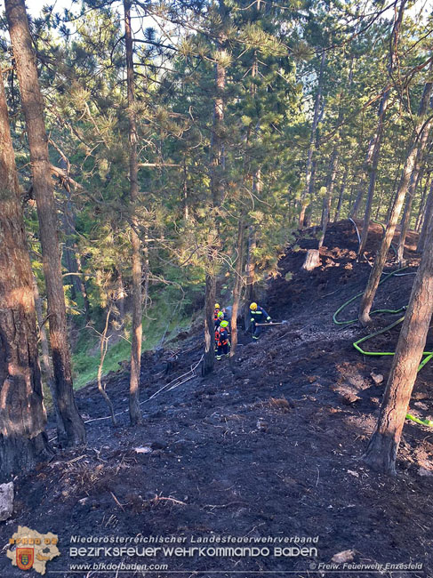 20210710 Unterstuetzung bei Waldbrand in Gutenstein im Bezirk Wr.Neustadt   Foto: © Freiwillige Feuerwehr Enzesfeld