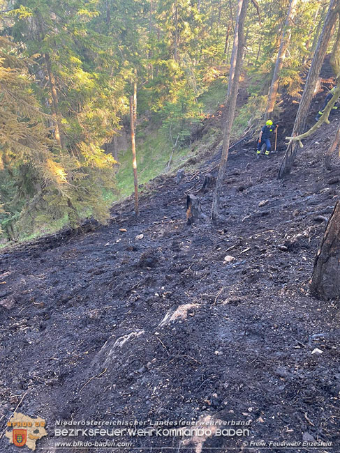 20210710 Unterstuetzung bei Waldbrand in Gutenstein im Bezirk Wr.Neustadt   Foto: © Freiwillige Feuerwehr Enzesfeld