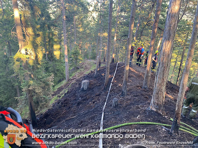 20210710 Unterstuetzung bei Waldbrand in Gutenstein im Bezirk Wr.Neustadt   Foto: © Freiwillige Feuerwehr Enzesfeld