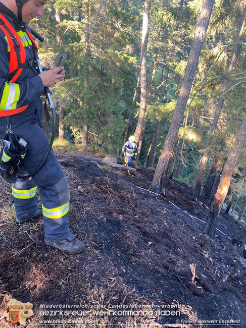 20210710 Unterstuetzung bei Waldbrand in Gutenstein im Bezirk Wr.Neustadt   Foto: © Freiwillige Feuerwehr Enzesfeld