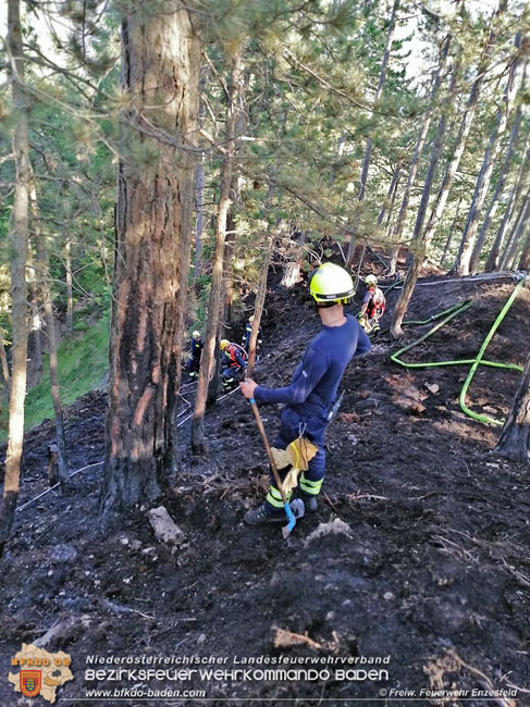 20210710 Unterstuetzung bei Waldbrand in Gutenstein im Bezirk Wr.Neustadt   Foto: © Freiwillige Feuerwehr Enzesfeld