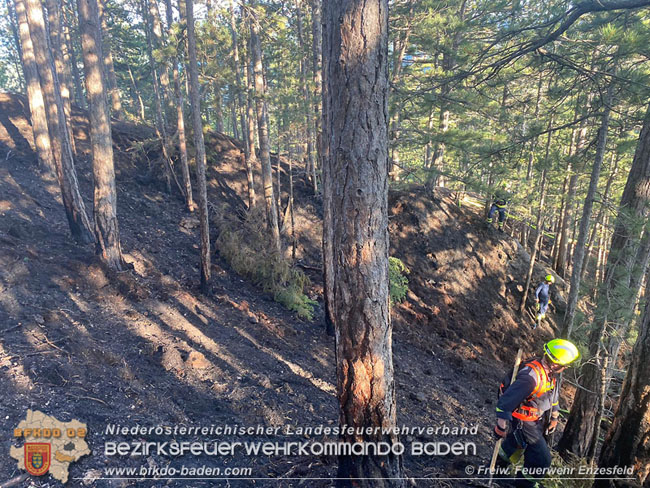 20210710 Unterstuetzung bei Waldbrand in Gutenstein im Bezirk Wr.Neustadt   Foto: © Freiwillige Feuerwehr Enzesfeld