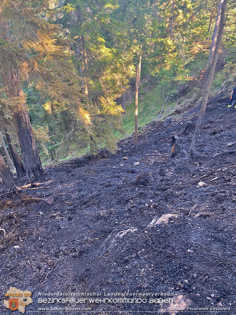 20210710 Unterstuetzung bei Waldbrand in Gutenstein im Bezirk Wr.Neustadt   Foto: © Freiwillige Feuerwehr Enzesfeld