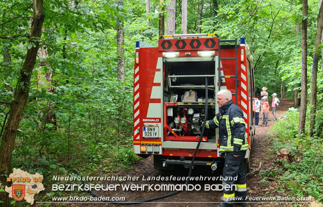 20210714 Kindergruppe Natur Plus verhindert Waldbrand in Baden Foto: © Freiwillige Feuerwehr Baden-Stadt 20210714 Kindergruppe Natur Plus verhindert Waldbrand in Baden Foto: © Freiwillige Feuerwehr Baden-Stadt