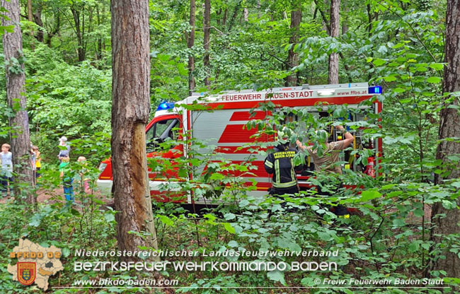 20210714 Kindergruppe Natur Plus verhindert Waldbrand in Baden Foto: © Freiwillige Feuerwehr Baden-Stadt 20210714 Kindergruppe Natur Plus verhindert Waldbrand in Baden Foto: © Freiwillige Feuerwehr Baden-Stadt