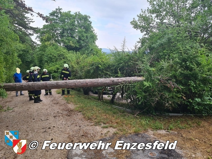 20210717 Sturmschaden in Enzesfeld   Foto: © Freiwillige Feuerwehr Enzesfeld 