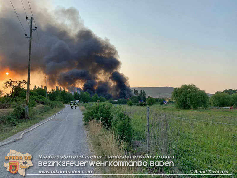20210723 Feuerwehr-Großeinsatz bei Brand einer Halle in Kottingbrunn Foto: © Bernd Taxberger 20210723 Feuerwehr-Großeinsatz bei Brand einer Halle in Kottingbrunn Foto: © Bernd Taxberger